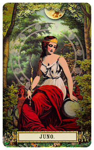 Mystic GREEN WOODS TAROT - Standard Size - LIMITED EDITION – Tarot Mystic GREEN WOODS TAROT - Standard Size - LIMITED EDITION – Tarot