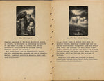 A Field Guide to the Dreary Omens (PDF eBook) PLUS Dreary Cryptozoological Society Membership Kit